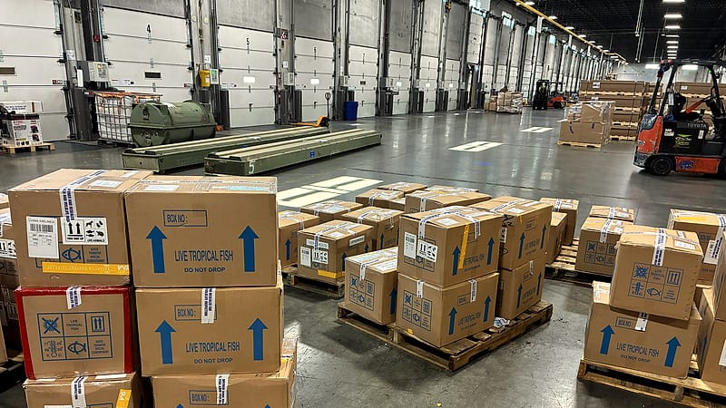 Cardboard cartons stacked on a pallet in a warehouse, wrapped in plastic and marked with a hold tag.